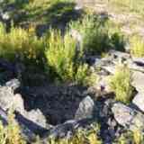 Pinofranqueado 2: dolmen de La Cancharra de Sauceda (vista B)